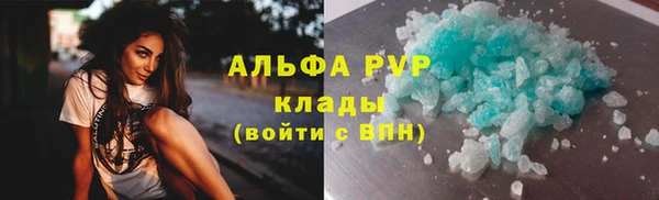 ПСИЛОЦИБИНОВЫЕ ГРИБЫ Белокуриха