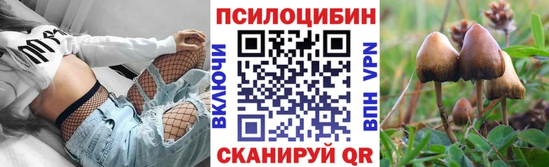 Галлюциногенные грибы MAGIC MUSHROOMS купить наркоту Дмитровск